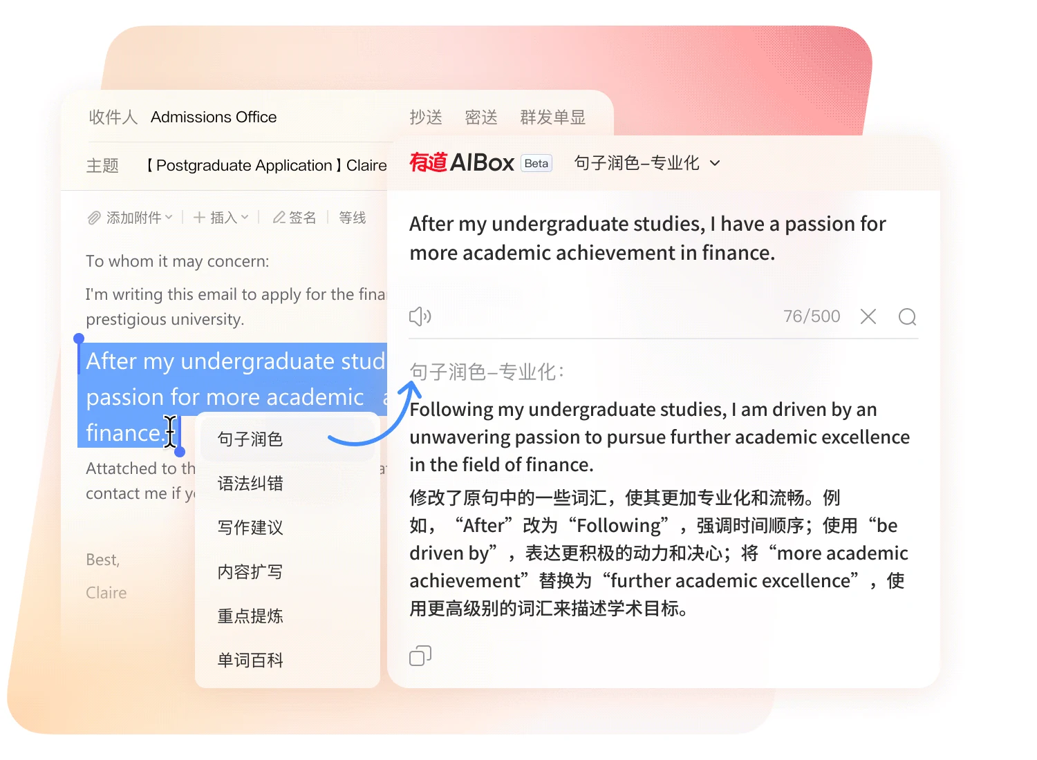有道翻译桌面端功能界面,展示专业文献高效入口